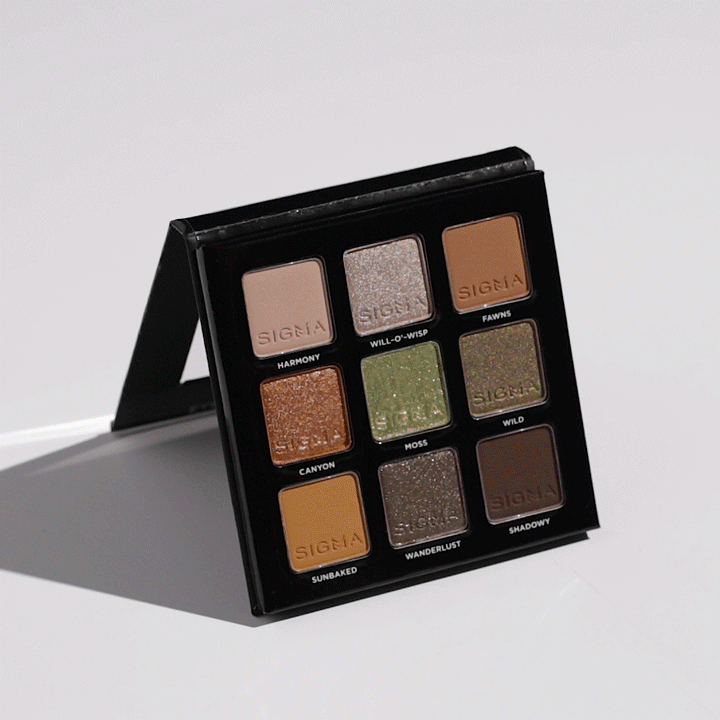Palette yeux Earthy Sigma Beauty